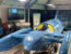 Donald Campbell's Bluebird K7